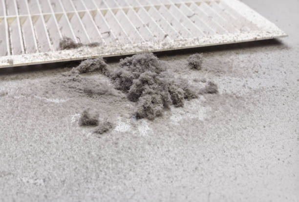 Best Local Air Duct Cleaning Services  in Hawkins, TX